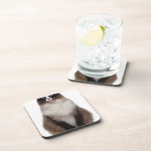 Ragdoll Cat Bier Onderzetter (Rechterzijde)