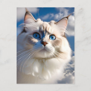 Ragdoll Cat Briefkaart