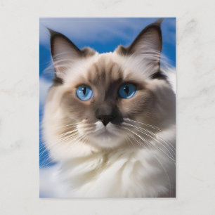Ragdoll Cat Briefkaart