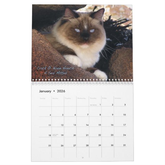 Ragdoll Cat Calendar Kalender (Jan 2026)