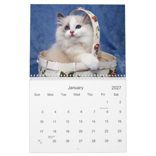 Ragdoll Cat Calendar Kalender (Jan 2027)