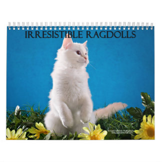 Ragdoll Cat Calendar Kalender