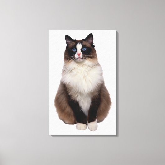 Ragdoll Cat Canvas Afdruk (Voorkant)