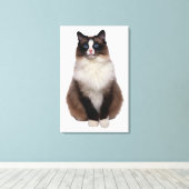 Ragdoll Cat Canvas Afdruk (Insitu (Houten vloer))