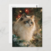 Ragdoll Cat Christmas Briefkaart (Voorkant / Achterkant)