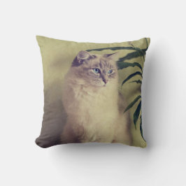 Ragdoll Cat Cushion Kussen