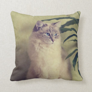 Ragdoll Cat Cushion Kussen