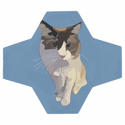 Ragdoll cat, Dusty Blue (Plat)