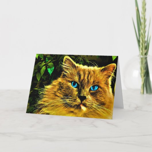 Ragdoll Cat, kaart (Voorkant)