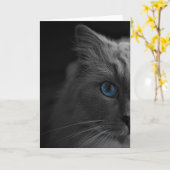 Ragdoll Cat, kaart (Gele Bloem)
