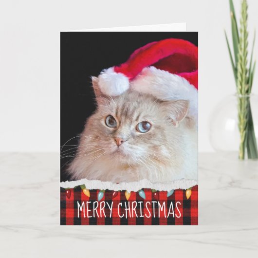 Ragdoll Cat met Santa Hat Kaart (Voorkant)