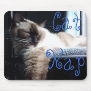 Ragdoll Cat Napping Muismat