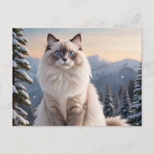 Ragdoll Cat op de besneeuwde berg met serene winte Briefkaart