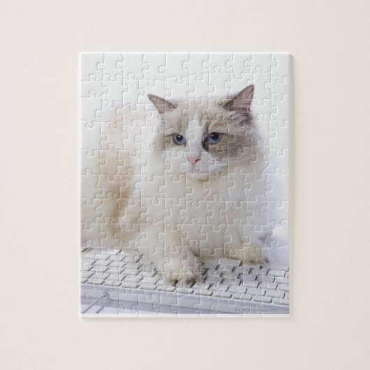 Ragdoll Cat op toetsenbord Legpuzzel (Verticaal)