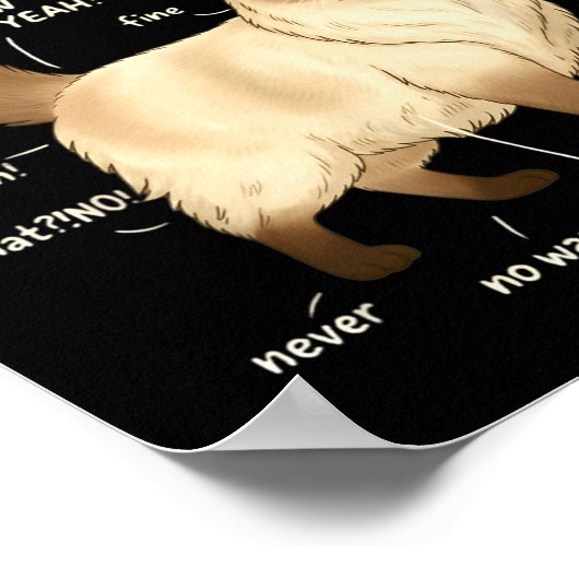 Ragdoll Cat Petting Guide Funny Cat Lover Poster (Hoek)