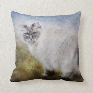 Ragdoll Cat Pillow Kussen