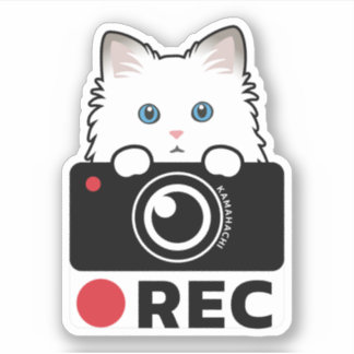 Ragdoll Cat Recording Vinyl Sticker camerawaarschu