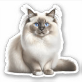 Ragdoll Cat Sticker (Voorkant)