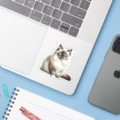 Ragdoll Cat Sticker (Laptop met iPhone)