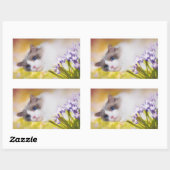 Ragdoll Cat Stickers (Vel)