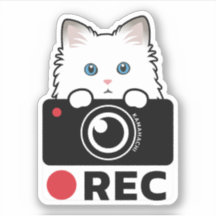 Ragdoll Chat Enregistrement Vinyl Sticker avertiss