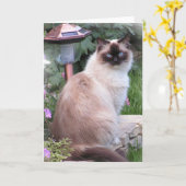 ragdoll de Kaarten van het Portret (Gele Bloem)