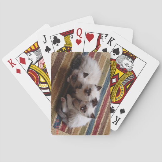Ragdoll Deck of Cards Pokerkaarten (Achterkant)