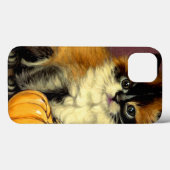 Ragdoll Halloween Cat Case-Mate iPhone Case (Achterkant (horizontaal))