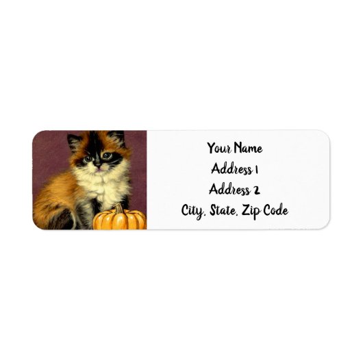 Ragdoll Halloween Cat Etiket (Voorkant)