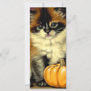  Ragdoll Halloween Cat Kaart