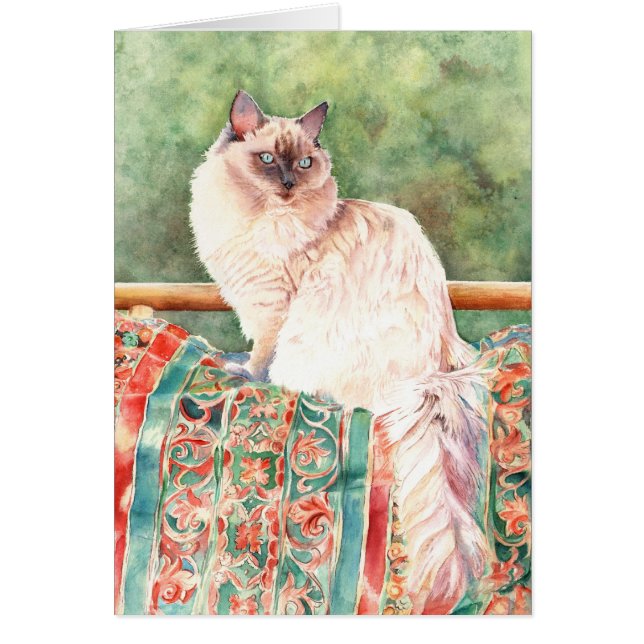 "Ragdoll"-kat (Voorkant)