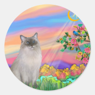 Ragdoll kat (blauw punt) - Dagster Ronde Sticker