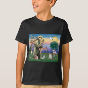 Ragdoll kat (blauw punt) en Sint-Franciscus T-shirt