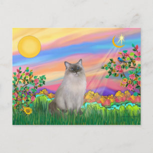 Ragdoll kat (Blue Point) - Dagster Briefkaart