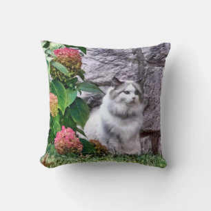 Ragdoll kat door Hydrangea Kussen