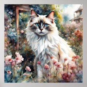 Ragdoll Kat in Engelse Tuin Poster