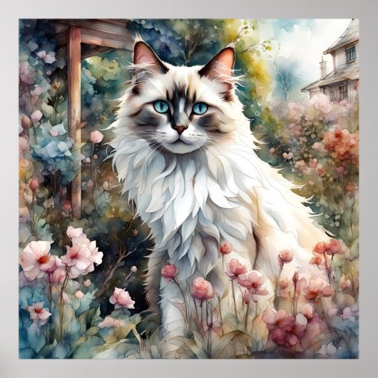 Ragdoll Kat in Engelse Tuin Poster (Voorkant)