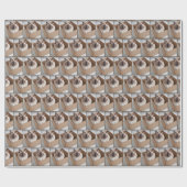 Ragdoll kat in kartonnen doos cadeaupapier (Vlak)