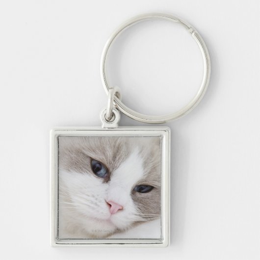 Ragdoll-kat Sleutelhanger (Voorkant)