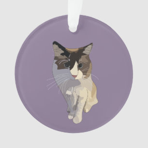 Ragdoll kat, Stof Paars Ornament