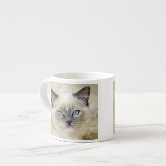 Ragdoll katje espresso kop (Voorkant links)