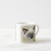 Ragdoll katje espresso kop (Voorkant rechts)