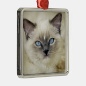 Ragdoll katje metalen ornament (Rechts)