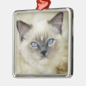 Ragdoll katje metalen ornament (Links)