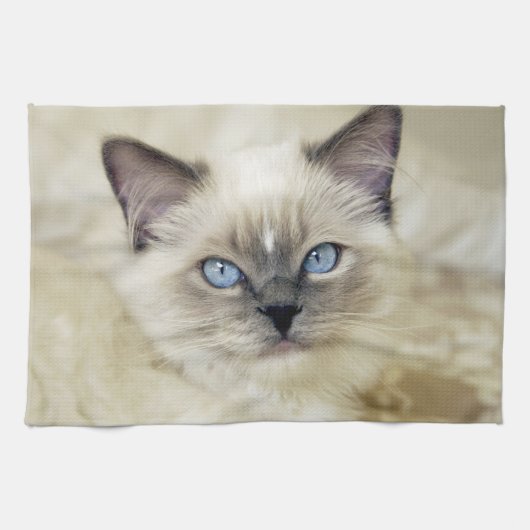 Ragdoll katje theedoek (Horizontaal)