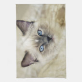 Ragdoll katje theedoek (Verticaal)