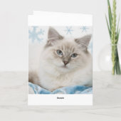 ragdoll kerstkaart feestdagen kaart (Achterkant)