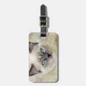 Ragdoll kitten bagagelabel (Voorkant verticaal)