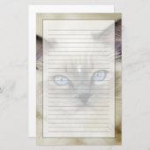 Ragdoll kitten briefpapier (Voorkant / Achterkant)