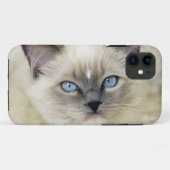 Ragdoll kitten Case-Mate iPhone case (Achterkant (horizontaal))